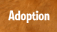 Click here for Adoption